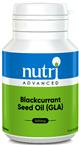 Blackcurrant Seed Oil (High GLA)